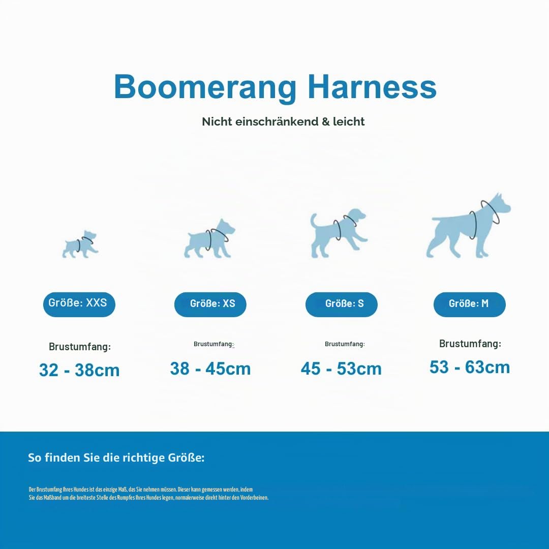BullyBillows Boomerang Hundegeschirr – Türkis, Größe S