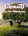 Ferdinand Spot The Difference: Impressive Picture Puzzle Activity Books For Adult ! A Perfect Gift