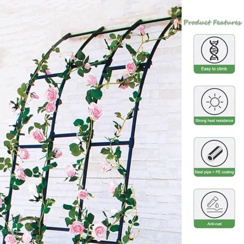 Arco de jardín decorativo con enrejado de metal: soporte para plantas trepadoras de pared 5