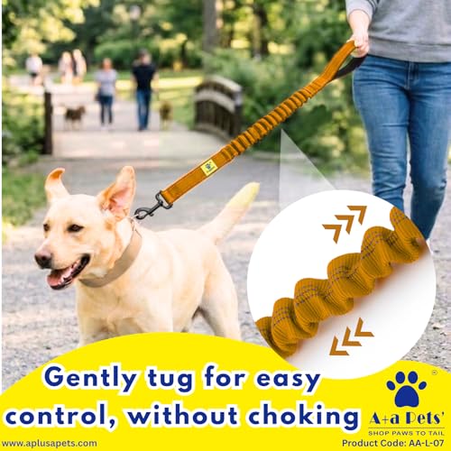 Image of A+a Pets' Short Bungee Leash | Traffic Lead | for Training & Better Control (BBlue)