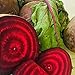 Kejora Fresh Beets 6 pcs