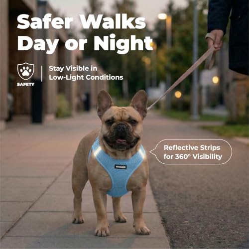 Image of Voyager Step-in Air Dog Vest Harness - Baby Blue, Small | 14.5-16 inch in Chest, Reflective Bands, All Weather Breathable Air Mesh, Cats Compatible, Lightweight, Fast Drying