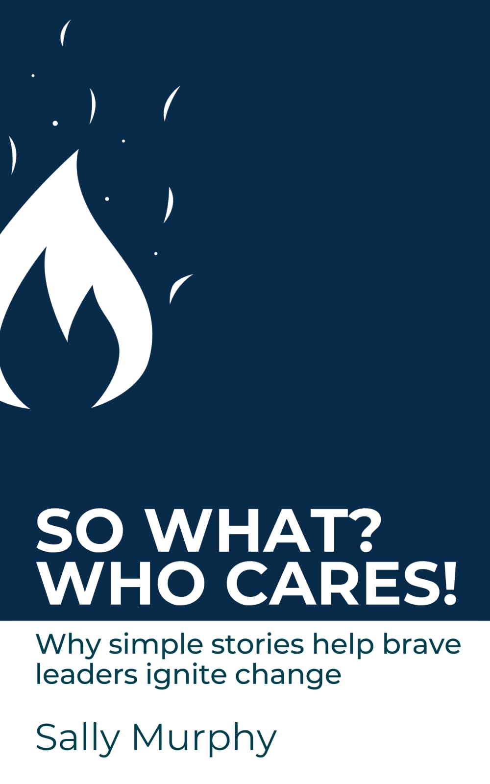 So What? Who Cares!: Why Simple Stories Help Brave Leaders Ignite Change