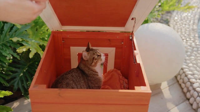 Amazon | Petsfit 外猫ハウス 野良猫 四季対応 防湿 木製の屋外用猫