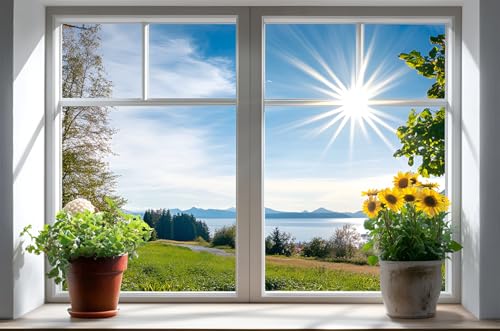 WOOHOOROO Peel and Stick Fake Window Flower Pots Sunshine Decoration Poster Picture Wall Sticker Decor Mural Wall Door Self-Adhesive Removable Decoration,16