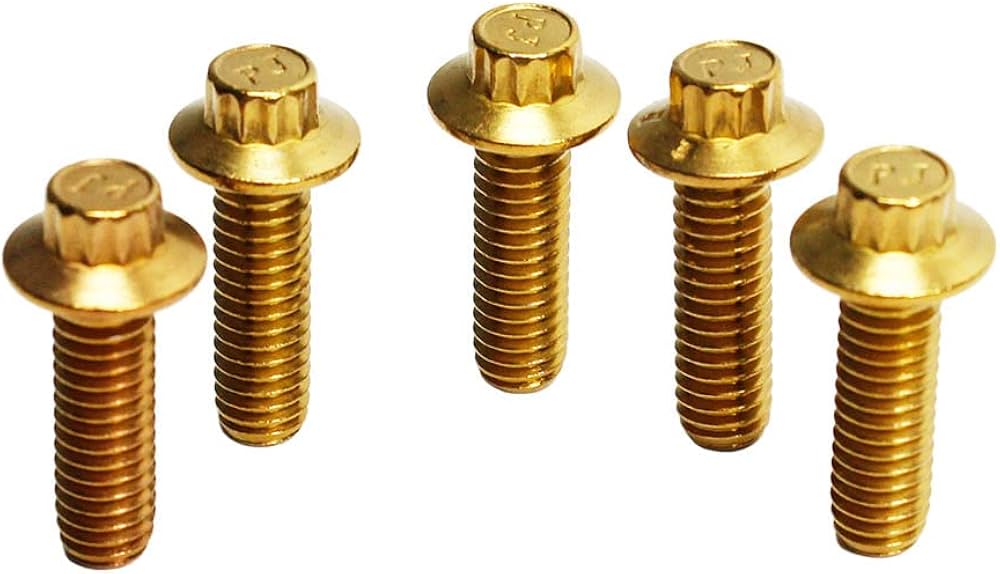 アクセサリー NIGG Amazon.com: POWER JAMES Stainless Steel Gold 12 Point Torx 5/16