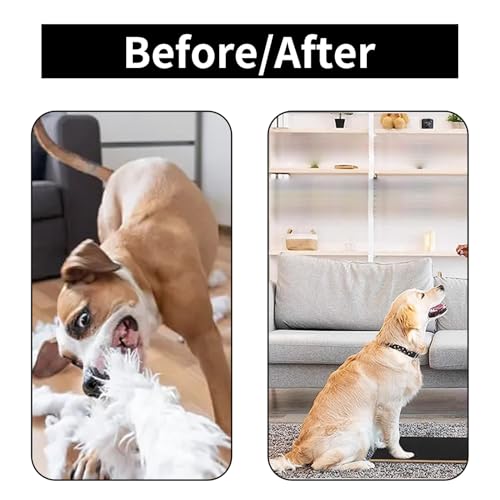 2 Stück Hundepfeife Rütter Rückruf,Hundepfeife Hochfrequenz Lautlos,Hundepfeife Rückruf,Erziehungshilfen für Hunde,Hundetraining Hundepfeifen Gegen Bellen,Hilfsmittel Pfeife Hund Rückruf,Dog Whistle