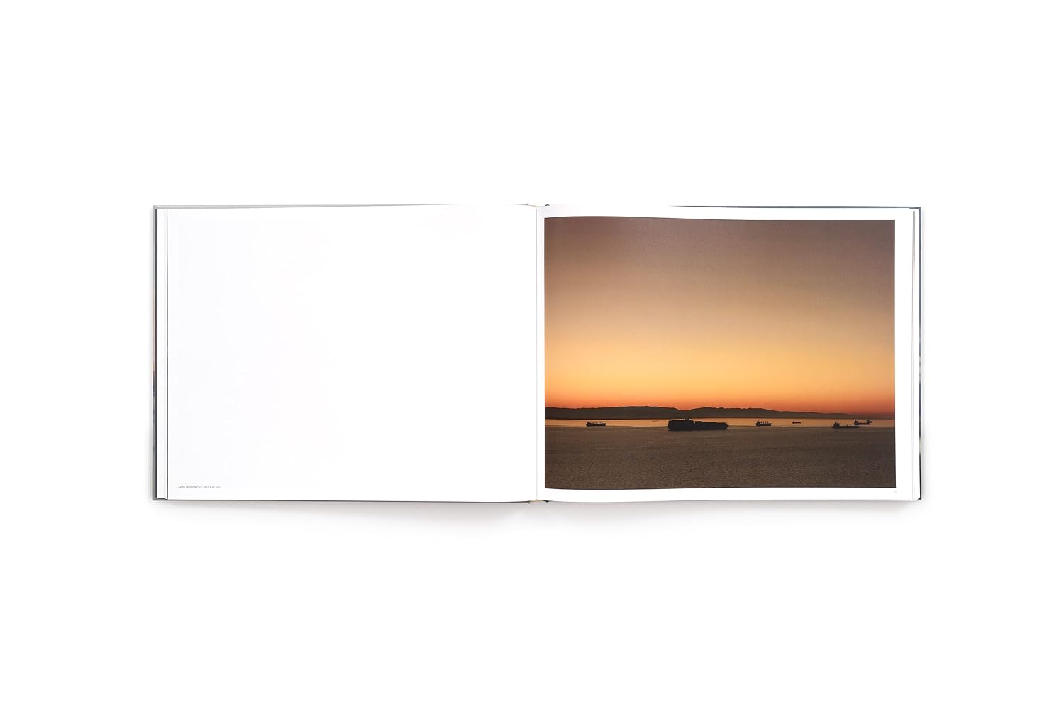 Richard Misrach: Cargo