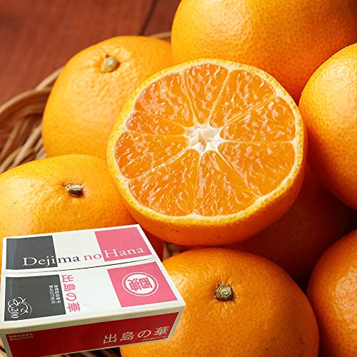 ݂ ỏ ۏGAbv 5kg S?MTCY 50?60 x14xȏ JAȂC 茧Y ~J t[c ʕ O