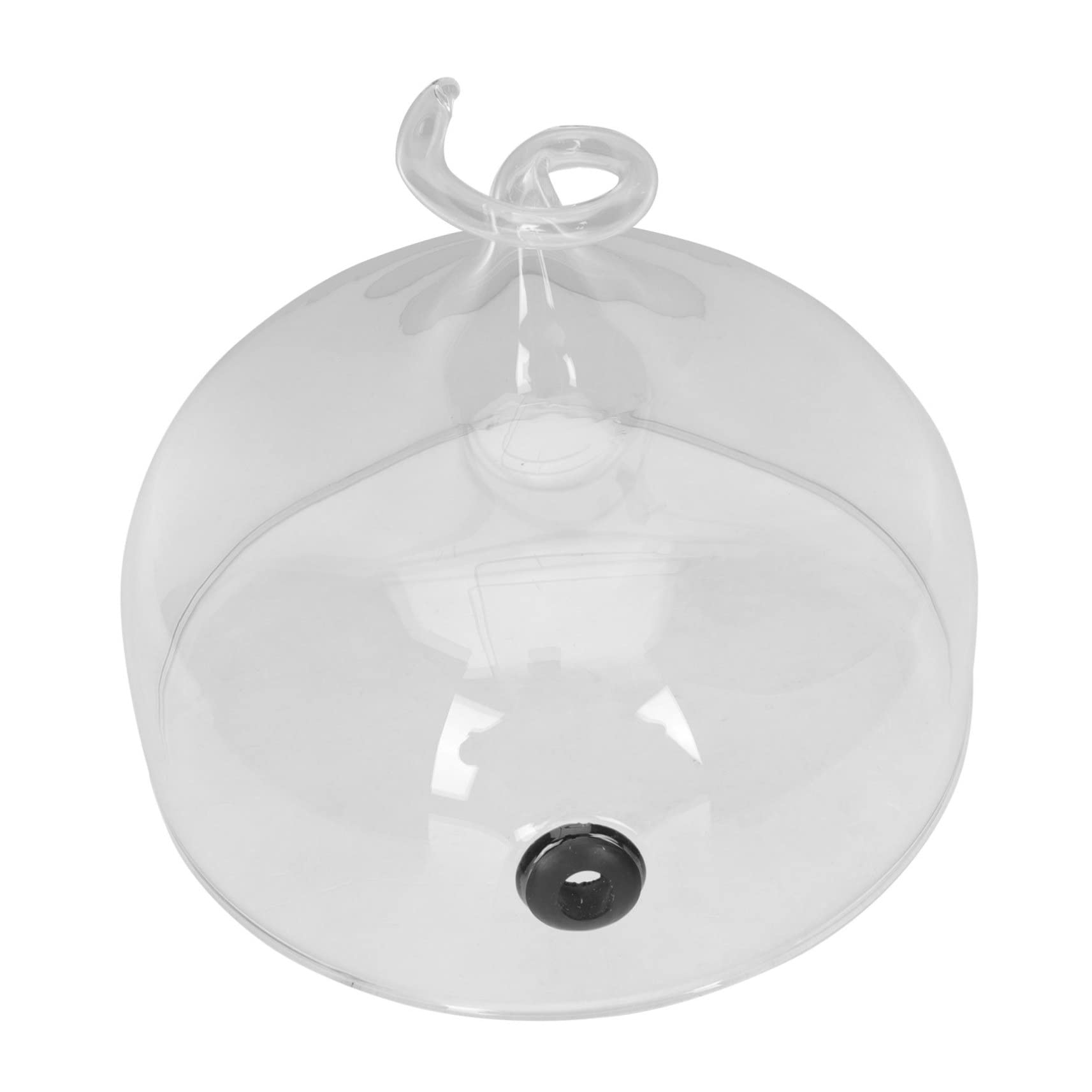 COLLBATH Campana Extractora De Vidrio Mostrar Infusor Bandejas Soporte Para Pasteles Con Cúpula Soporte Para Pasteles Con Tapa Hermético Parrilla Cúpula De Pastel Soporte De Pastel