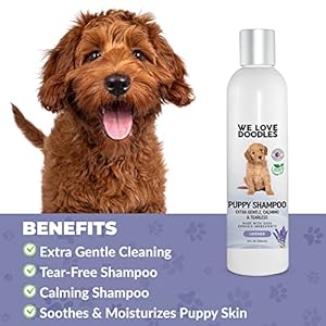 Puppy Shampoo & Conditioner | Made in USA | Organic Ingredients | Tear Free | Best Shampoo for Puppies | Sensitive & Itchy Skin Wash | Oatmeal Bathing | Tearless, Lavender, 8oz [We Love Doodles]
