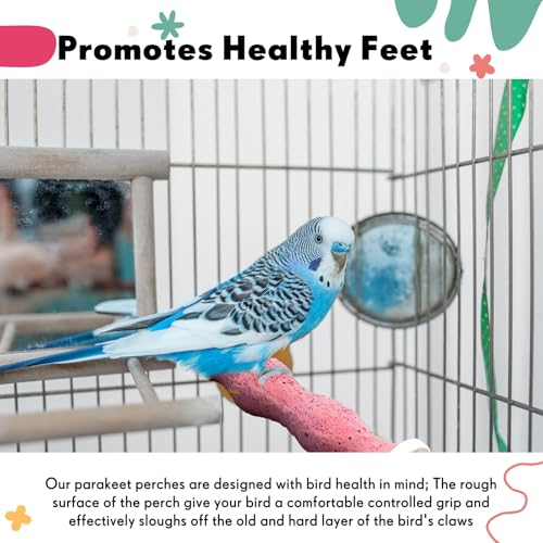 Image of Soulchen 4 Pcs Bird Beak Grinding Calcium Stone Perches Large 4.8 Inch Parrot Teeth Mouth Molar Cage Platform Paw Grinding Sticks Jumping Stand for Macaws Parakeets Finches Cockatiel(Purple,Pink)