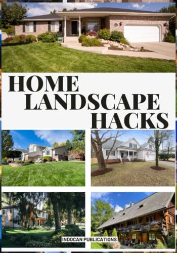 Home landscape hacks: There's nothing like a beautiful summer night to enjoy your Front yard and backyard landscaping ideas with friends and family