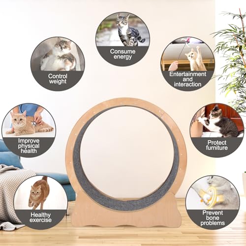 Doppy Roda de exercícios para gatos, 100 cm, esteira para gatos em ambientes internos com base aprim