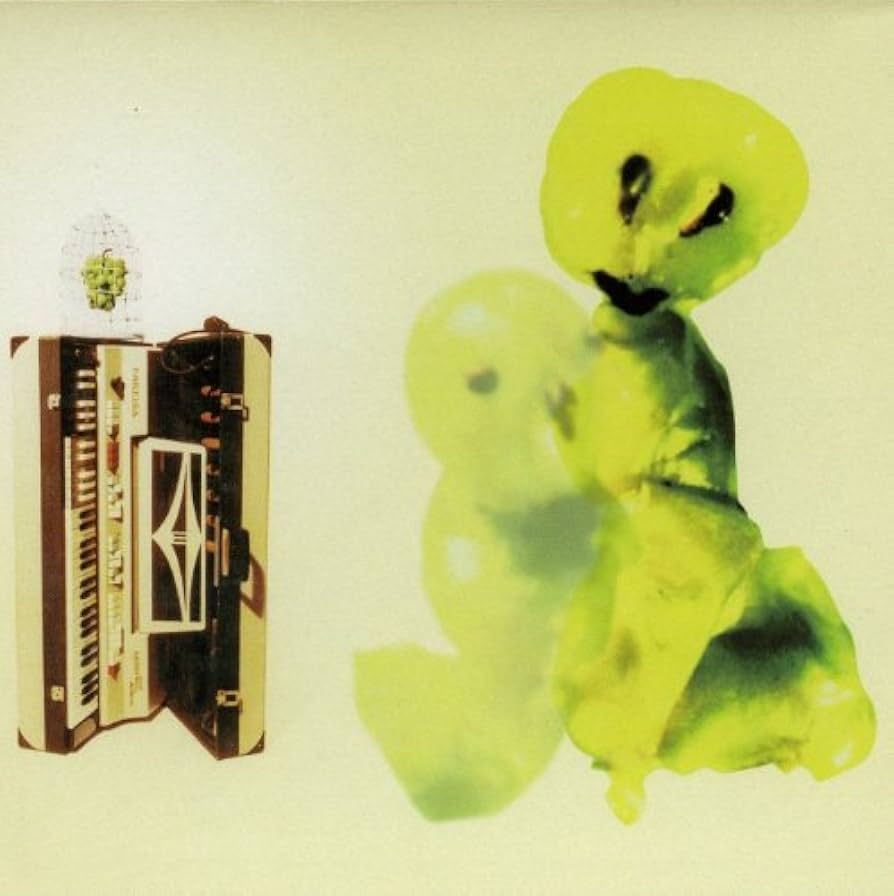 カーネーション/Parakeet&Ghost(Deluxe Edition) カーネーション/Parakeet&Ghost(Deluxe Edition) Amazon.co.jp