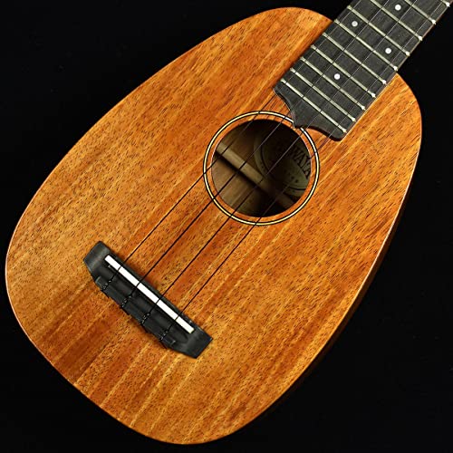 KIWAYA KTS-S2KP S/NF2016 ynCARAށzyY\vmzypCibv^z L