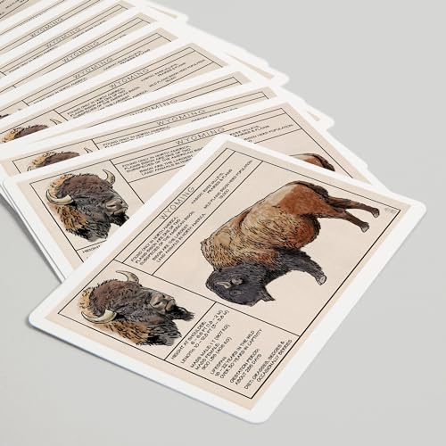 Lantern Press Wyoming Bison 52 Cartas Póker Adultos miniatura 5