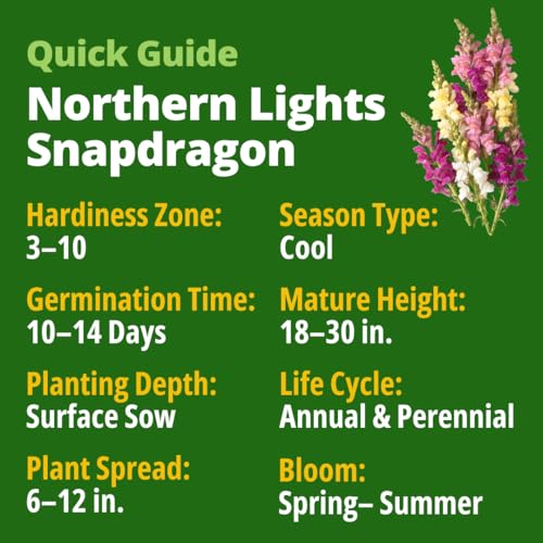 Image of HOME GROWN Snapdragon Northern Lights Seeds, 10,000 Flower Seeds for Planting 2026 Spring, Pastel Garden Blooms of Snap Dragon, Pollinator Friendly Outdoor Cut Flowers (Antirrhinum majus)