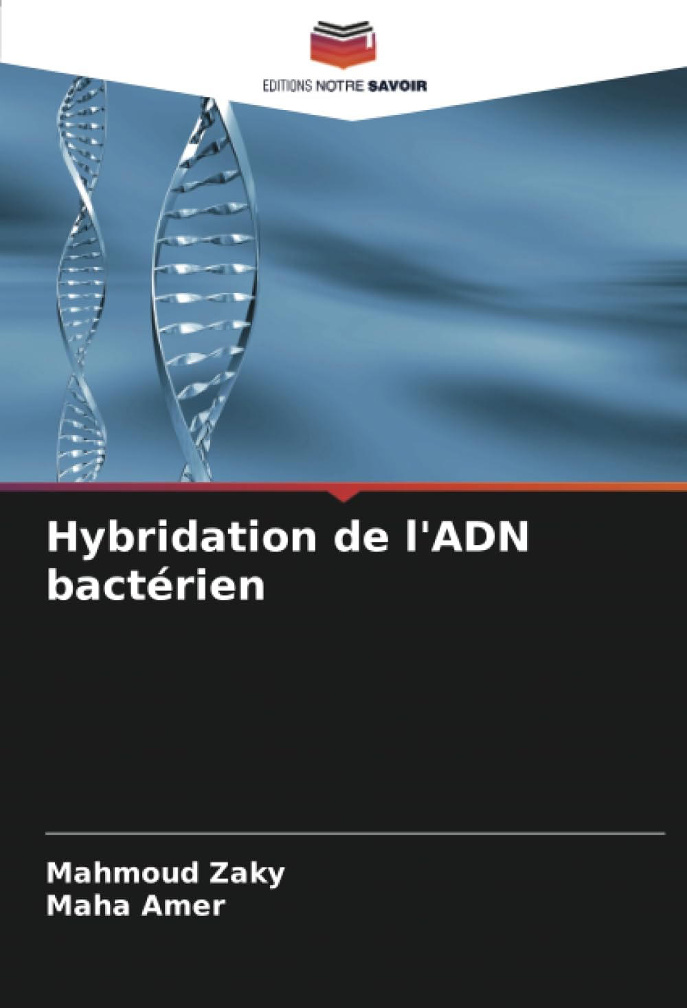 Hybridation de l'ADN bactrien