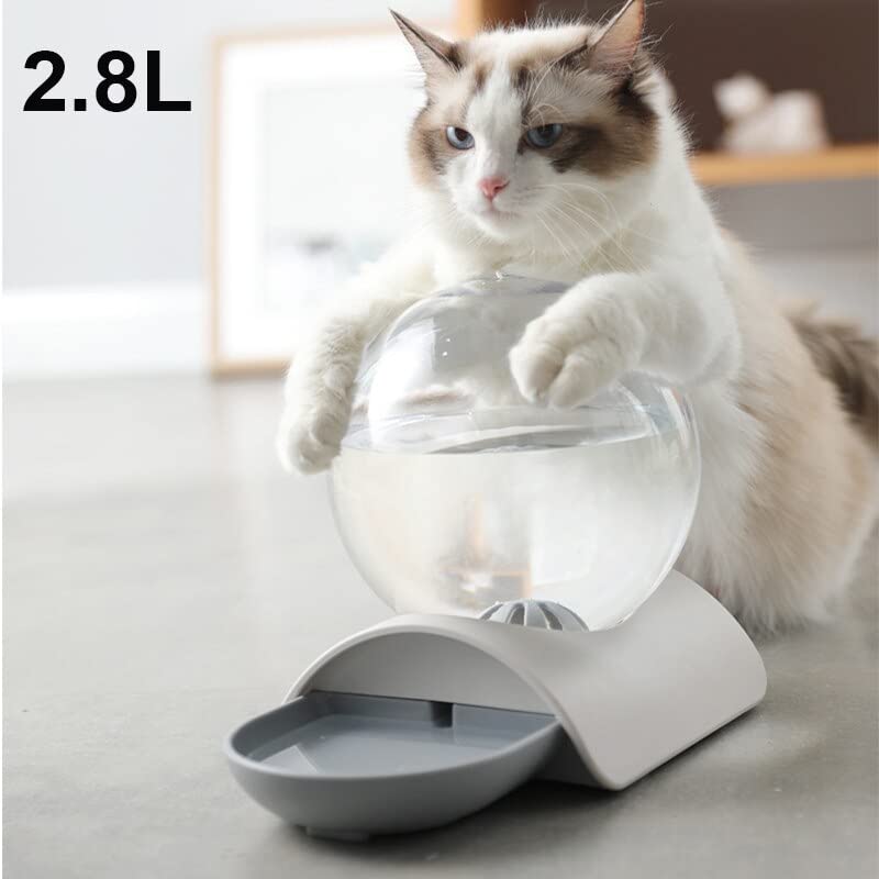 Fuente automática de agua para gatos y perros miniatura 5
