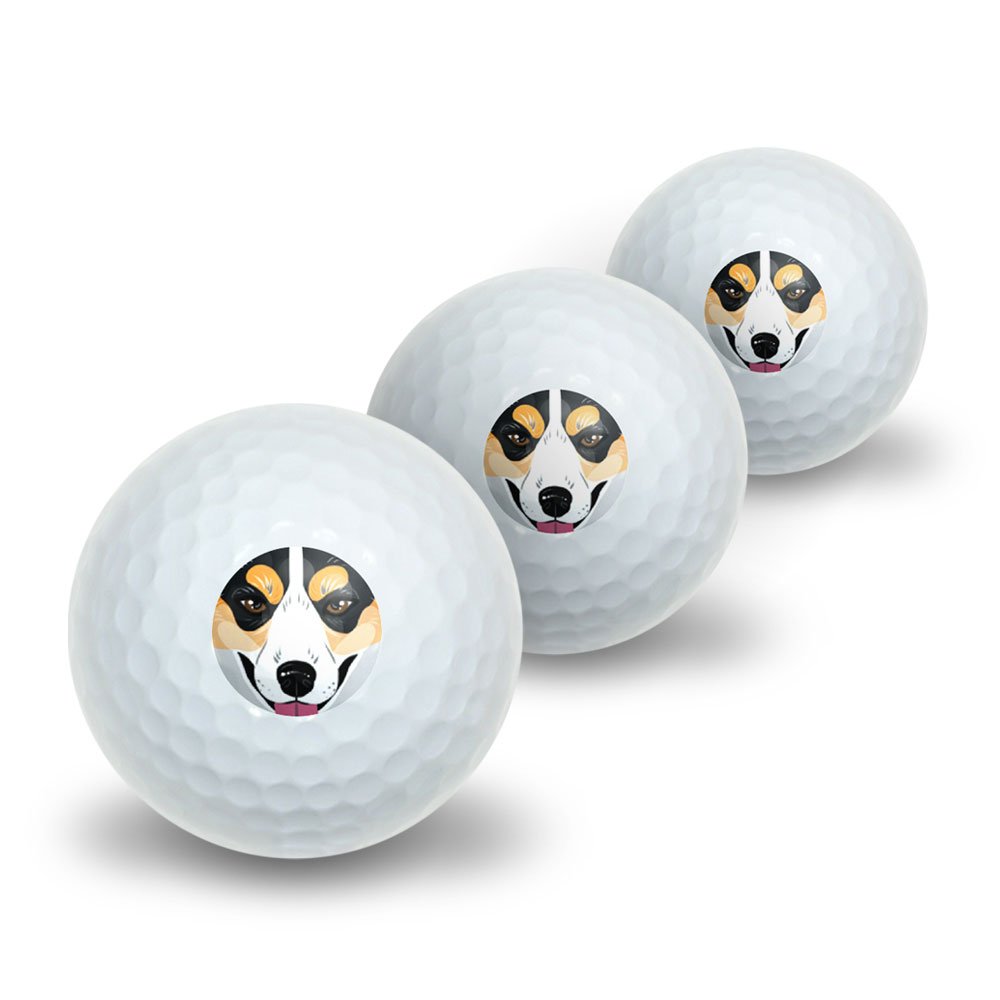 GRAPHICS & MORE Tri-Color Pembroke Welsh Corgi Face - Tri Color Tricolor Dog Pet Novelty Golf Balls 3 Pack