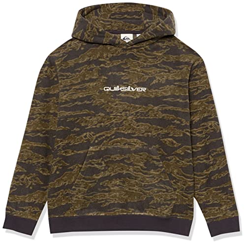 Quiksilver Boys Essentials Polar Hood Youth Fleece Hoody Sweatshirt