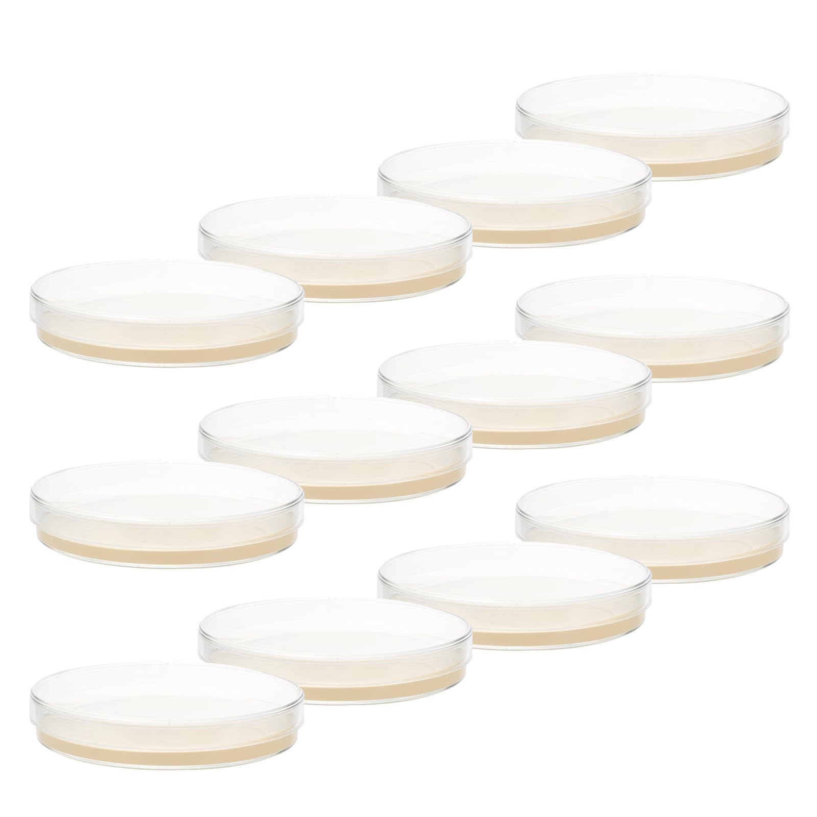 Levemolo Sterile Nähragarplatten 9cm aus Agar und PC Vielseitig für Kulturen 20 Stück für Forschung und Lehre im Laborgebrauch