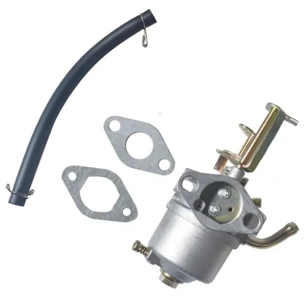 Carburateur Moteur Y TE-200 Pièce Motoculture et Régulation Essence