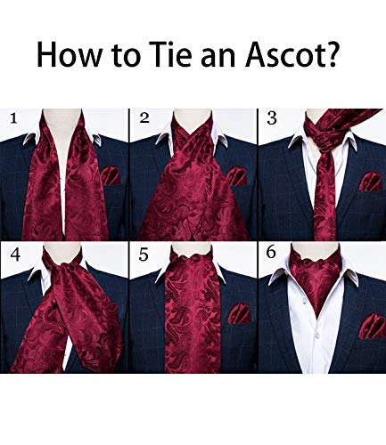 Image of DiBanGu Silk Woven Ascot Cravat with Pocket Square Set for Men | Paisley Ascot,Wrinkle-Resistant,Silky Smooth,Easy to Match,Cufflinks,Tie Ring,Wedding,Ceremonies,Party Occasions,Banquet
