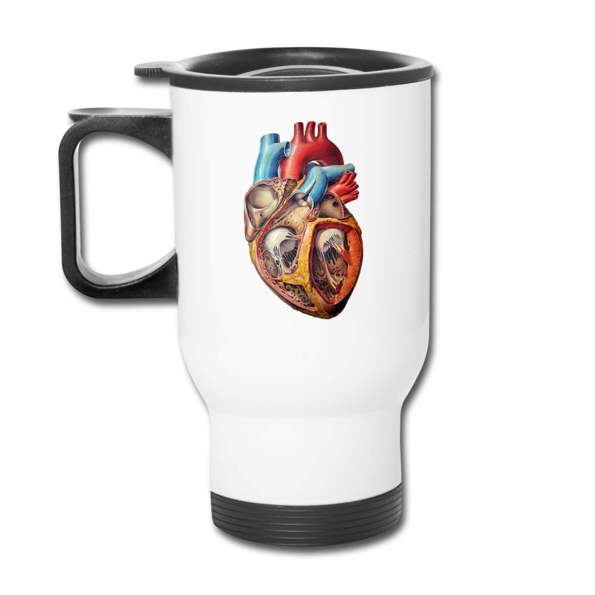 zhouyeT Human Anatomy Heart Chart Stainless Steel Travel Mug Coffee Cup