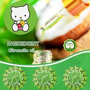 168Pack Cute Mosquito Repellent Patches for Kids, Natural Citronella Stickers for Adult-DEET Free