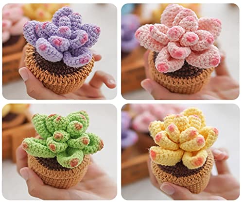 Crochet Kit For Beginners - 3Pcs Succulents, Beginner Crochet Starter Kit For Complete Beginners Adults, Crocheting Knitting Kit With Step-By-Step Video Tutorials, Learn To Knit For Adults Beginner #TOP2