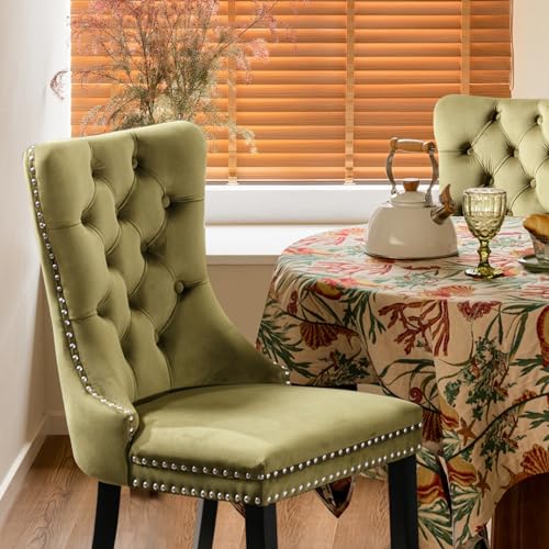 SoarTalent Velvet Upholstered Dining Chairs Set of 2, Modern Style Kitchen Side Chairs with Nailhead...