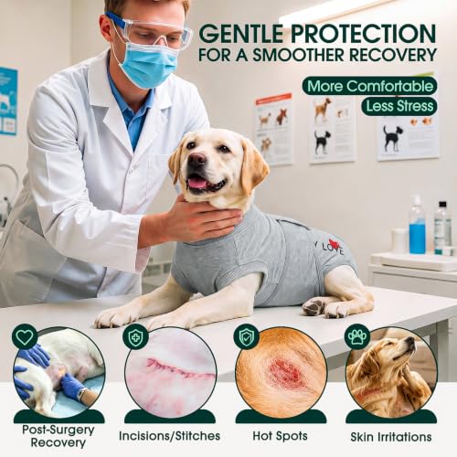Image of Kuoser Recovery Suit for Dogs After Surgery, Female Dog Onesie for Surgery