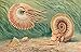 The Zoologist's Guide to the Galaxy: What Animals on Earth Reveal about Aliens – and Ourselves