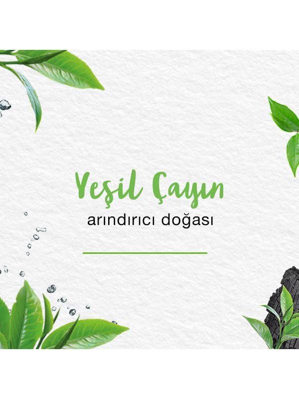 Himalaya Since 1930 Detoks Etkili Arındırıcı Yüz Maskesi, Aktif Kömür, Yeşil Çay, Parabensiz, Tüm Ciltler, 75 ml