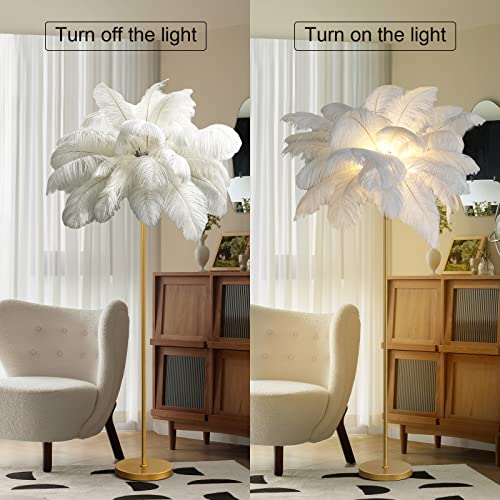 Vorderry Natural Ostrich Feather Floor Lamp, White, Gold And Pink Atmosphere Feather Lamp, Eye Protection Reading Lamp, Bedroom, Living Room Corner Decoration Lamp (White) #TOP1