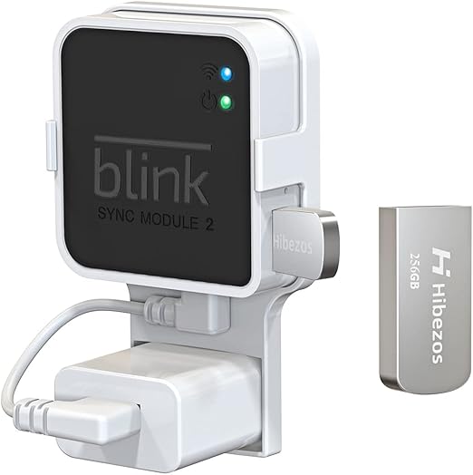 256GB USB Flash Drive and Outlet Mount for Blink Sync Module 2, Save