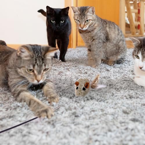 JXFUKAL Cat Feather Toy Refills, 6Pcs Simulation Bird Mouse Bee Worm Feather Cat Lures Cat Wand Attachment Cat Toys Replacement for Kitty Kitten Indoor Cats Cat Accessories - Thumbnail 6