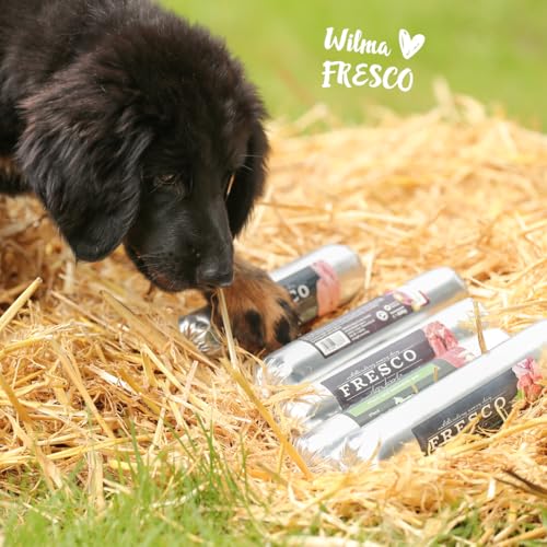 FRESCO Dog Barf Wurst Pferd Pur | Doppelpack 2 x 400g | hoher Fleischanteil 100% | natürliches Ergänzungsfutter für Hunde | Praktische Portionierung & schnittfest