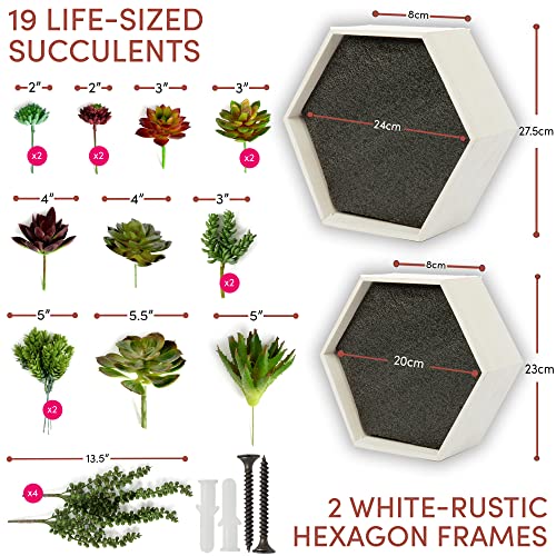 Seeko Customizable Artificial Succulents Includes 2 Hexagon Floating Shelves - Fake Hanging Plants Faux Succulents For Wall Decor - Hanging Plant Shelf - Diy Bathroom Decor Wall Art #TOP3