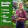 HOME GROWN Detroit Dark Red Beet Seeds 500+ Heirloom Non GMO Seeds for Planting, High Germination, Sweet & Tender Root Vegetable, Edible Greens, Canning, Pickling, Winter Storage (Beta vulgaris) #2