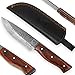 USQUARE UE-016, Coltello da Caccia in Acciaio Damasco 20,32 cm con Fodero, Coltello con Lama Fissa, Coltello bushcraft, Manico in Legno Pakka, Codolo Intero, sviluppato per la Caccia e Il Campeggio
