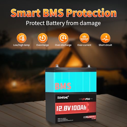 Image of 2 Packs 12V 100Ah LiFePO4 Lithium Battery, Built in 100A BMS, 1280W Power Output, Up To 6000+ Cycles, Ideal For RV, Solar Off-Grid Systems, Home Energy Storage