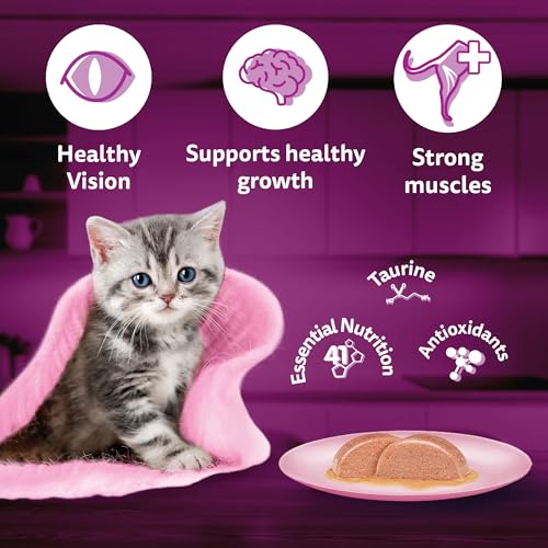 Image of Whiskas Junior Kitten (2-12 Months) Wet Cat Food, Mackeral Flavour, 80 g, 100% Complete & Balanced Nutrition, Supports Healthy Immune System (Pack of 7)