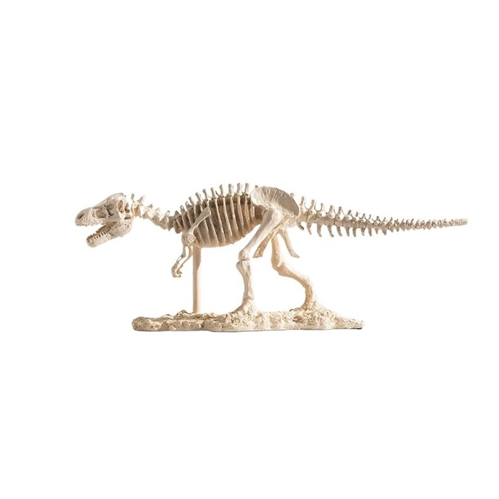 XYJIAOU2026 Desktop Figurines Realistic Tyrannosaurus Rex Skeleton Sculpture Resin Dinosaur Fossil Decor Educational Collectible Figurine