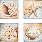 CoasterStone AS10080 Seashell Collection Absorbent Coasters, 4-1/4-Inch, Set of 4