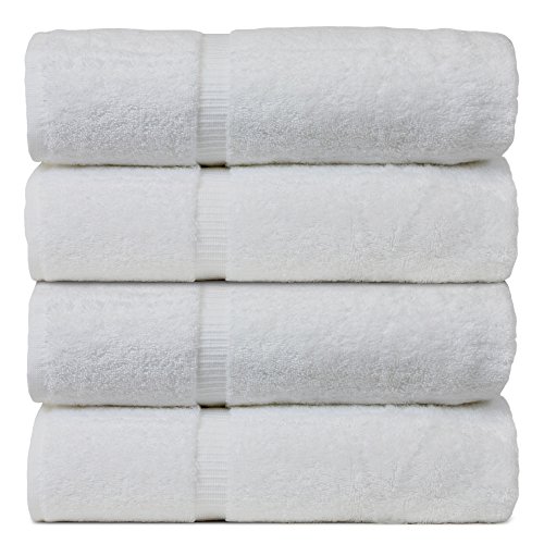 Image of Bare Cotton Luxury Hotel & Spa Towel Turkish Bath Towels Dobby Border, White, Set of 4