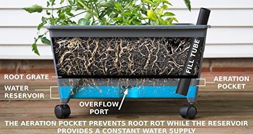 image for Emsco Group City Picker Raised Bed Grow Box – Self Watering and Impr