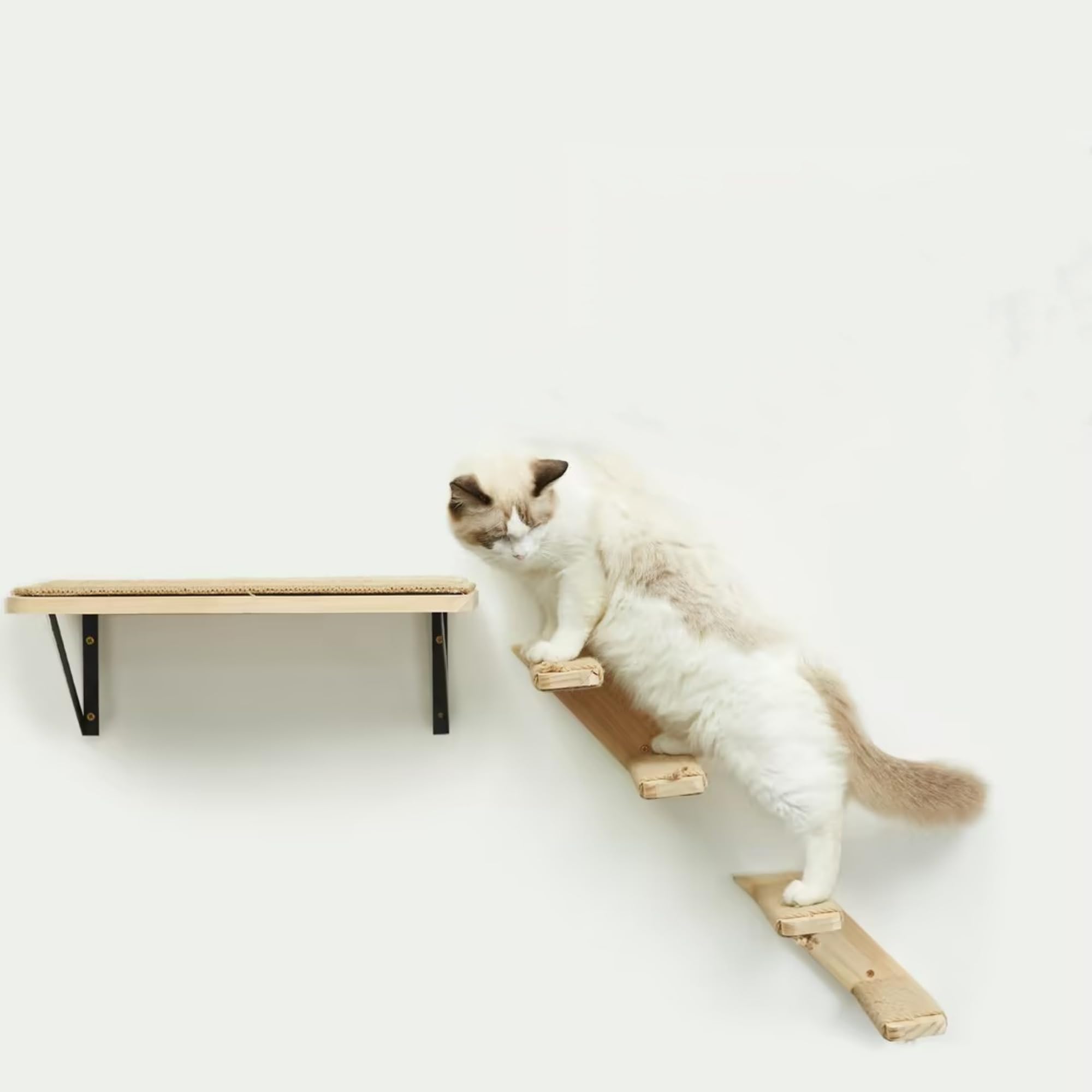 Mur d'escalade pour chat - Lot de 3 - Avec 2 marches et plateforme de jeu - En bois massif - Montage mural - Pour l'escalade, les jeux, le sommeil